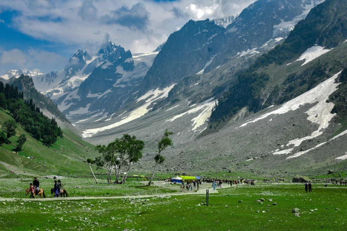 a group of people riding horses on a lush green hillside